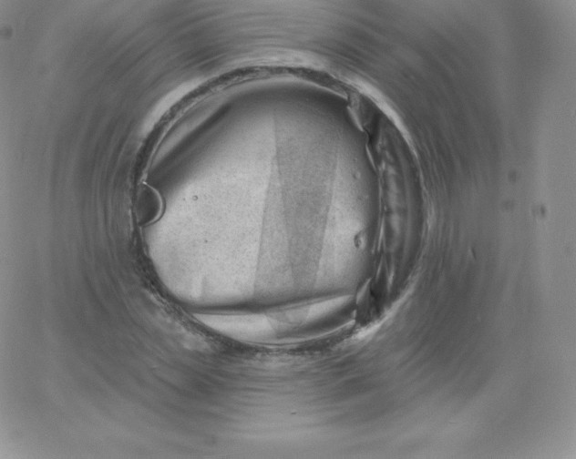 X0000060740829200511241636