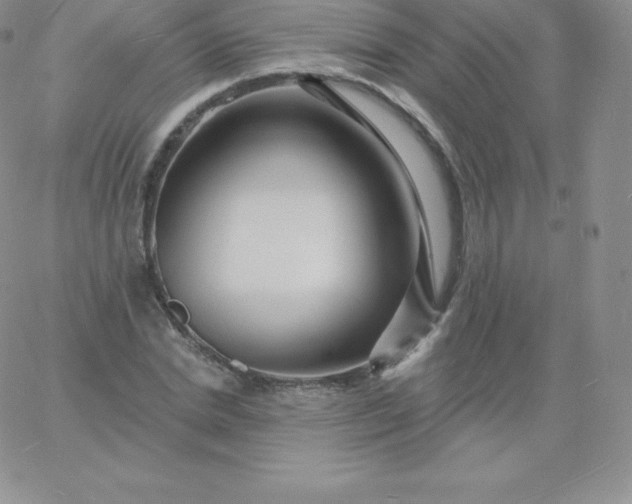 X0000060740830200511241636