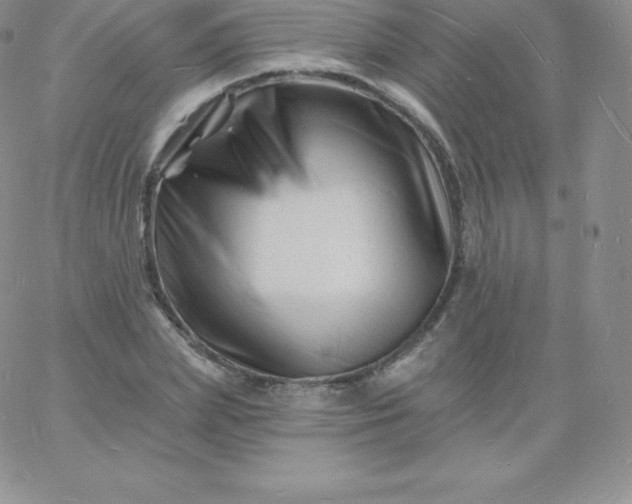 X0000060740831200511241636