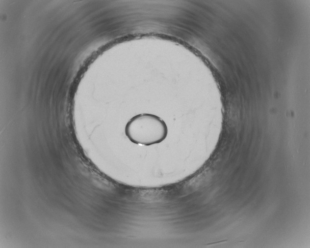 X0000060740832200511241636