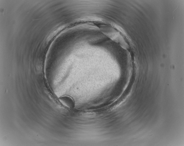 X0000060740833200511241636