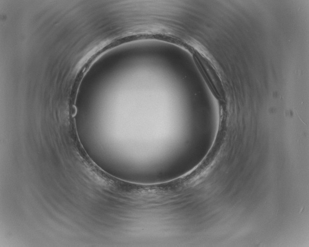 X0000060740834200511241636