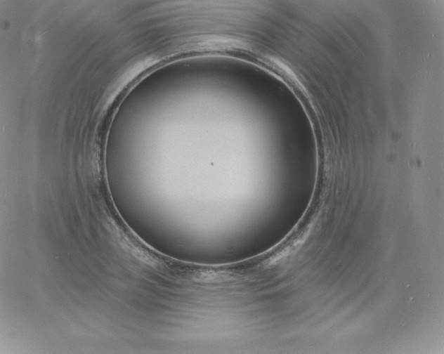 X0000060740835200511241636