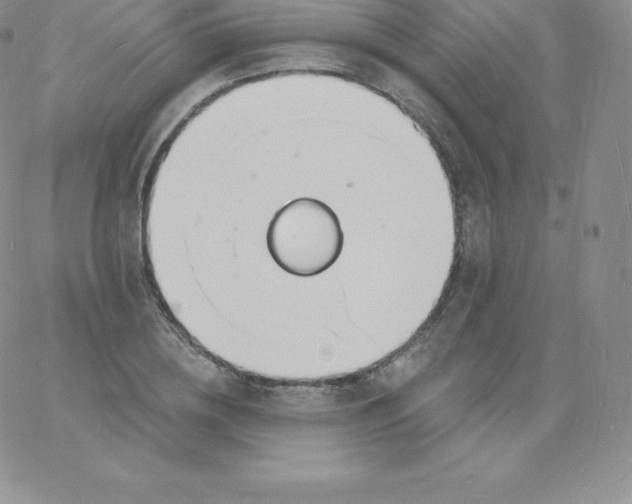 X0000060740836200511241636