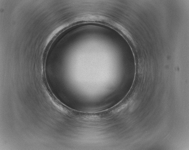 X0000060740837200511241636