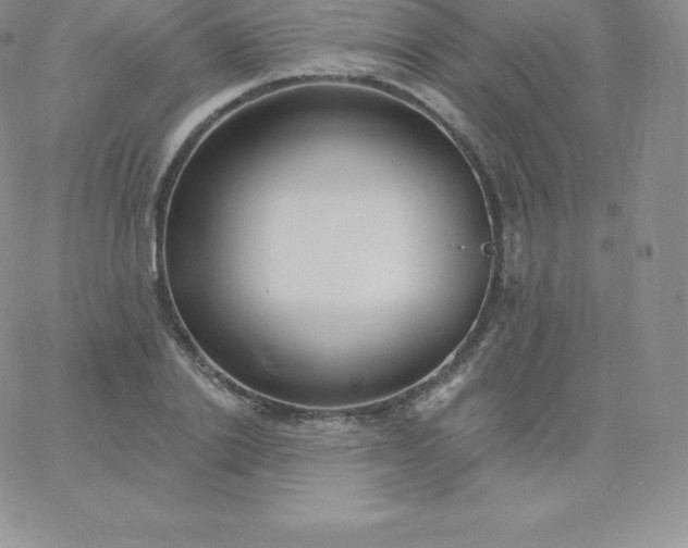 X0000060740838200511241636