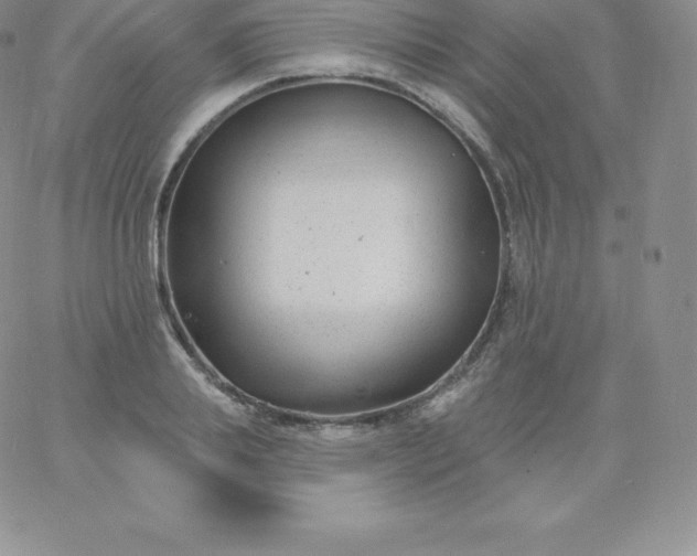 X0000060740839200511241636