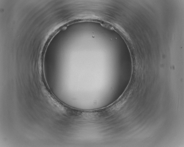 X0000060740840200511241636