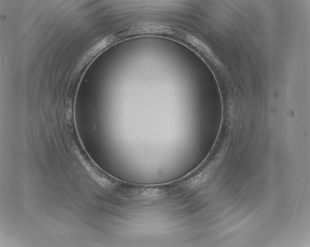 X0000060740841200511241636