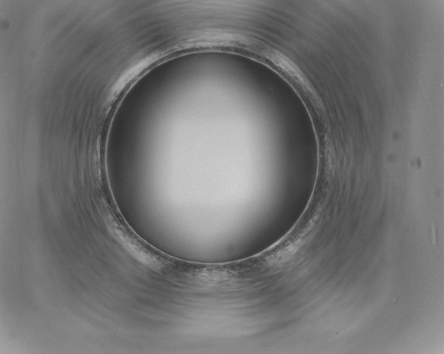 X0000060740842200511241636