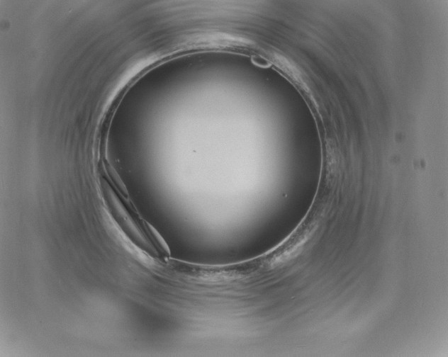 X0000060740843200511241636