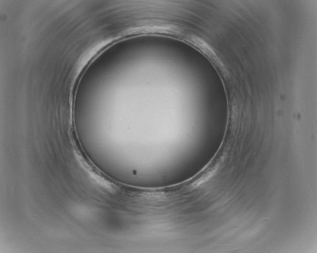 X0000060740844200511241636