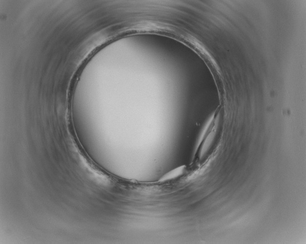 X0000060740845200511241636