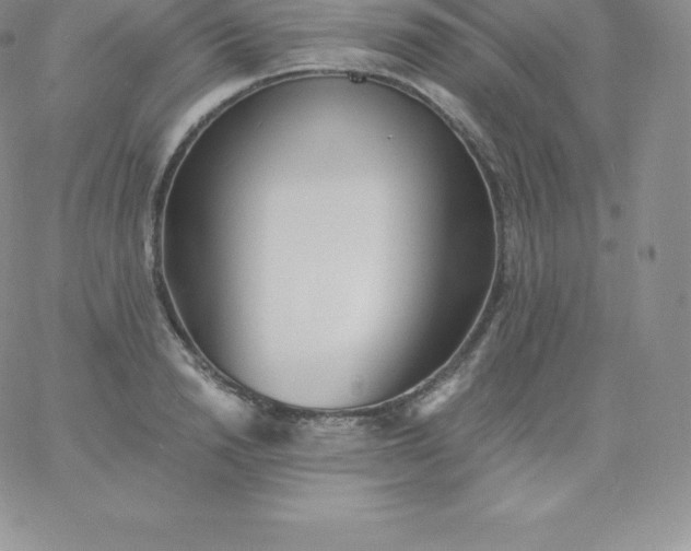 X0000060740846200511241636