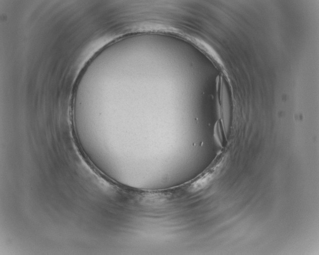 X0000060740847200511241636