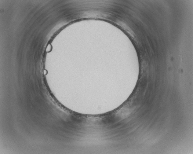 X0000060740848200511241636