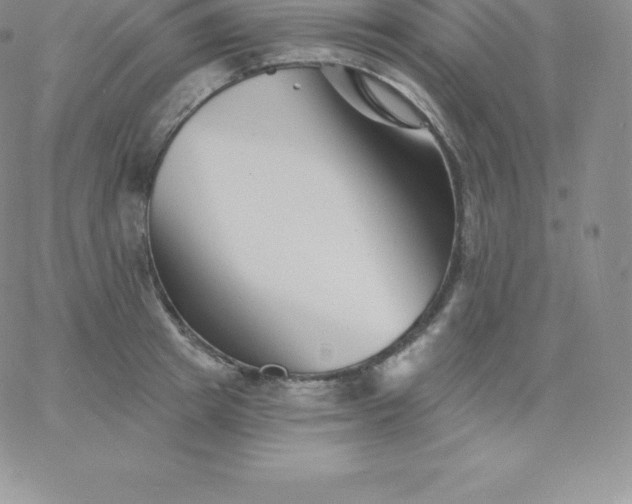 X0000060740849200511241636