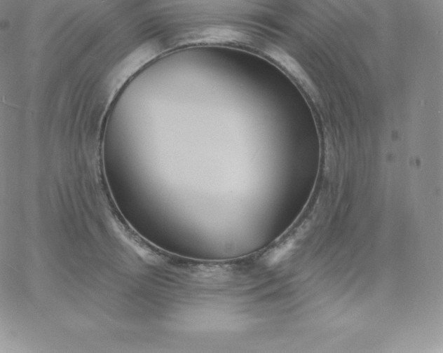 X0000060740850200511241636