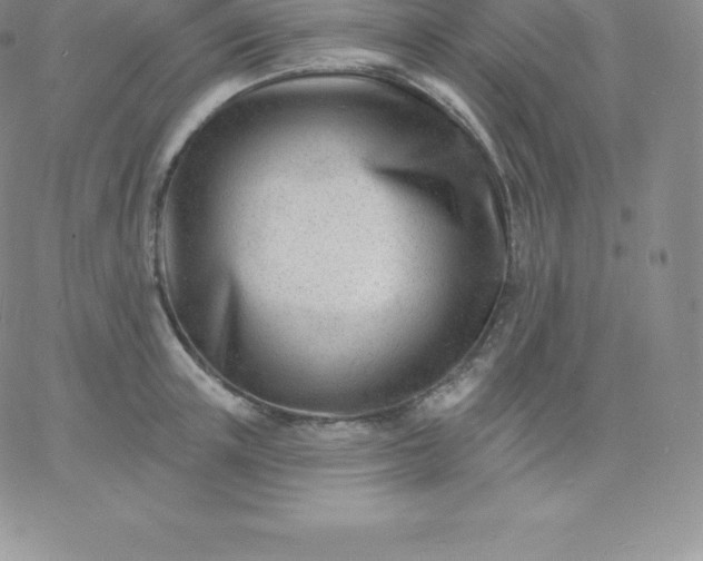 X0000060740851200511241636