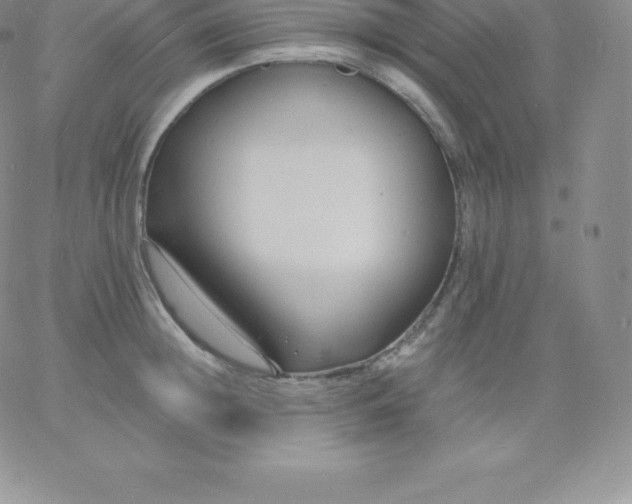 X0000060740852200511241636