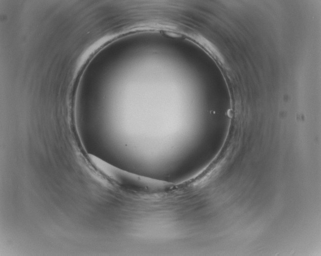 X0000060740854200511241636