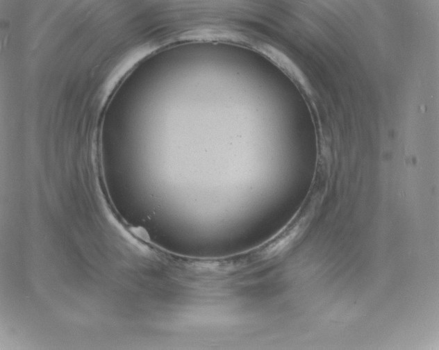 X0000060740855200511241636