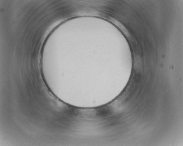 X0000060740856200511241636