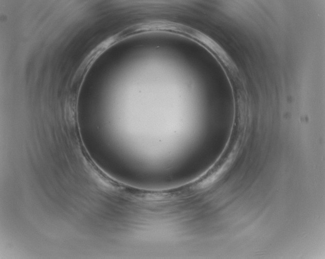 X0000060740857200511241636