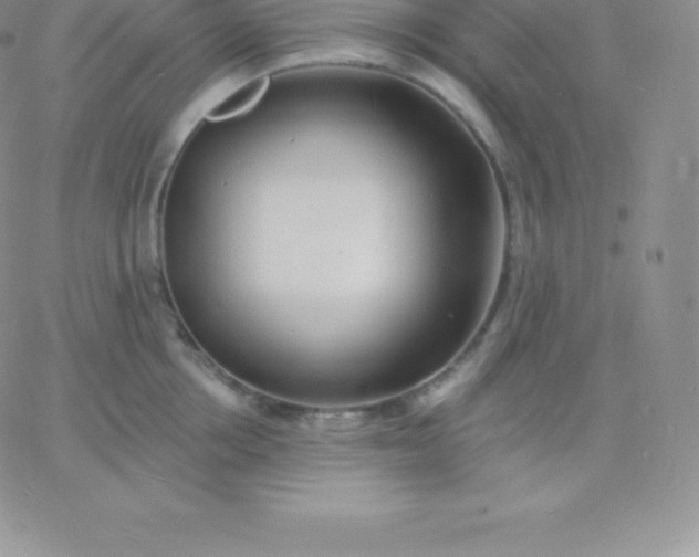 X0000060740858200511241636