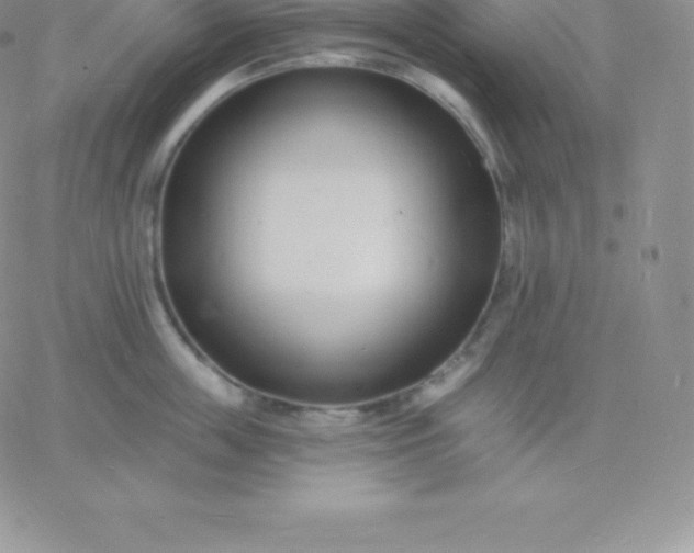 X0000060740859200511241636