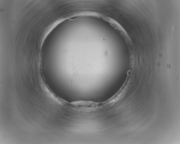 X0000060740860200511241636