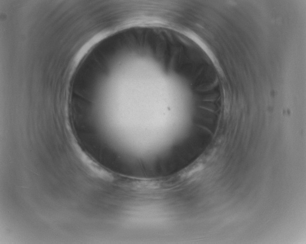 X0000060740861200511241636