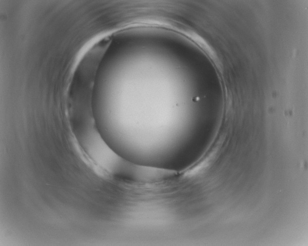 X0000060740862200511241636