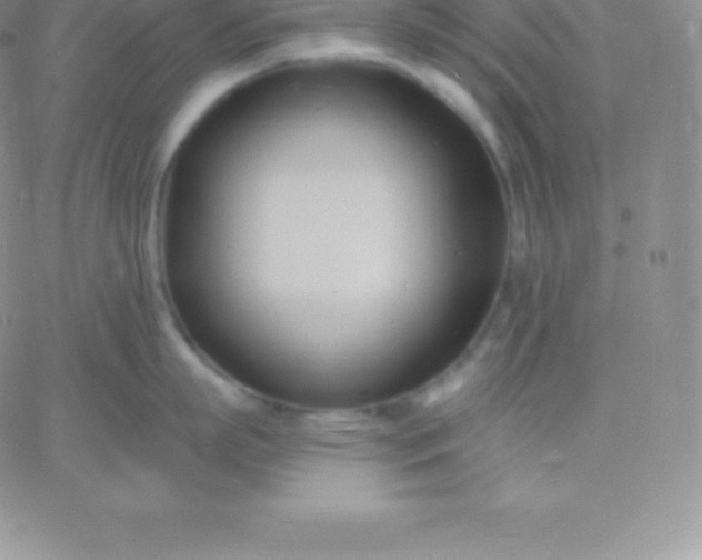 X0000060740863200511241636