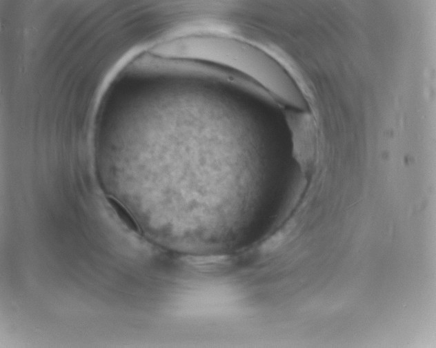 X0000060740864200511241636