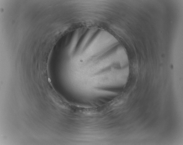 X0000060740865200511241635