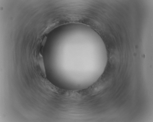 X0000060740866200511241635