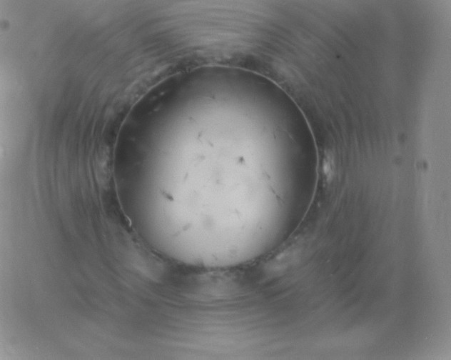 X0000060740867200511241635