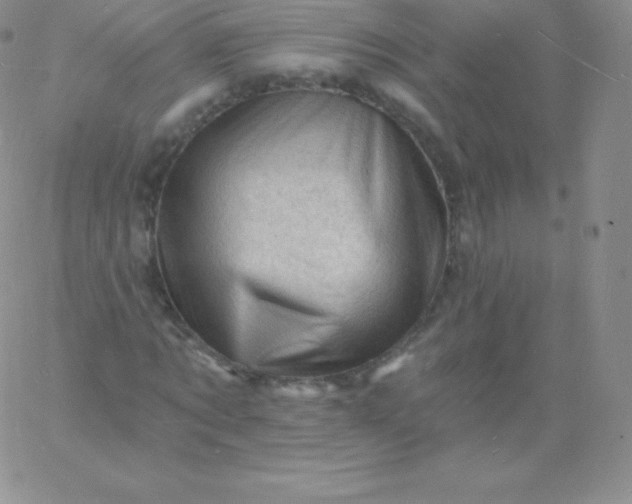 X0000060740869200511241635