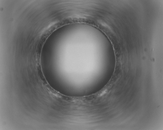 X0000060740870200511241635