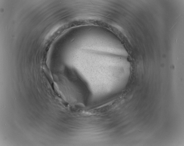 X0000060740871200511241635