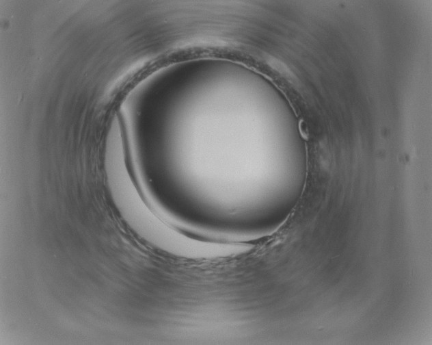 X0000060740872200511241635