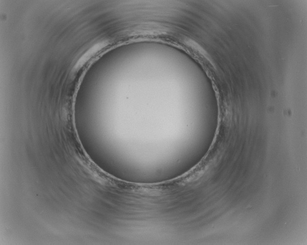 X0000060740874200511241635