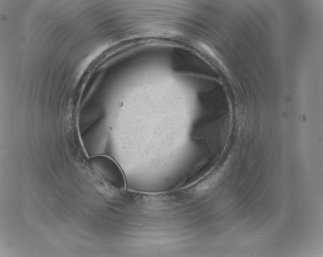 X0000060740875200511241635