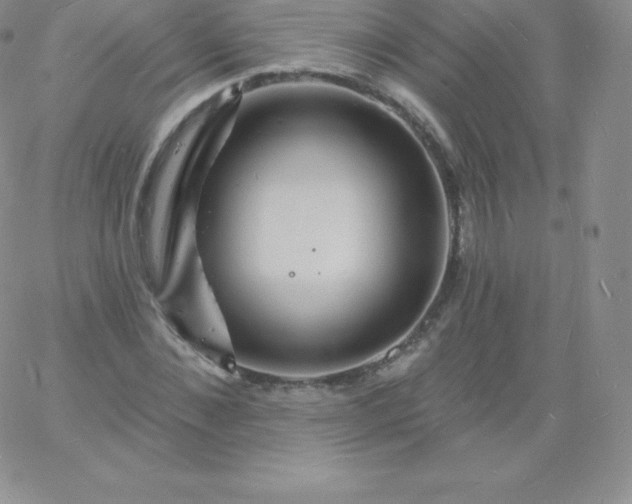 X0000060740876200511241635