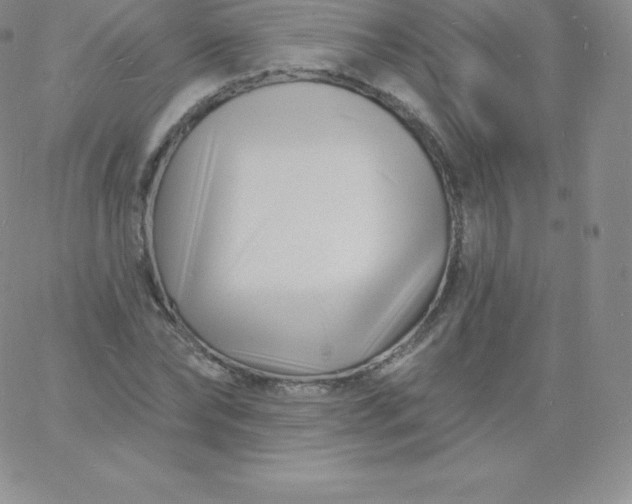 X0000060740878200511241635