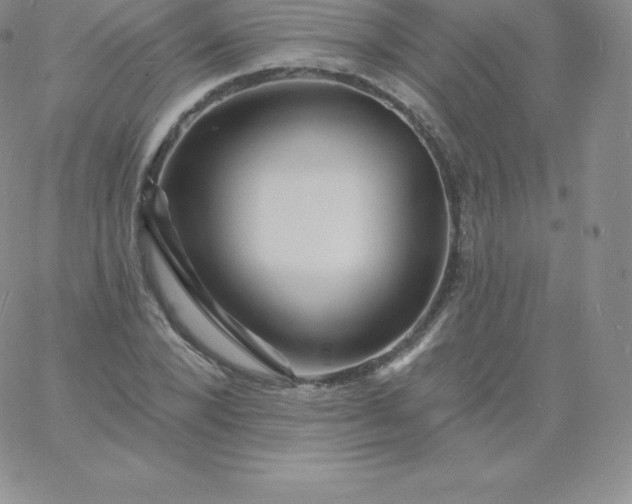 X0000060740880200511241635