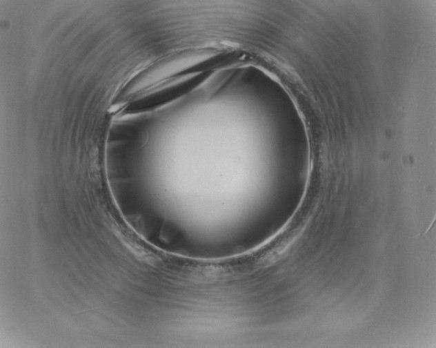 X0000060740881200511241635