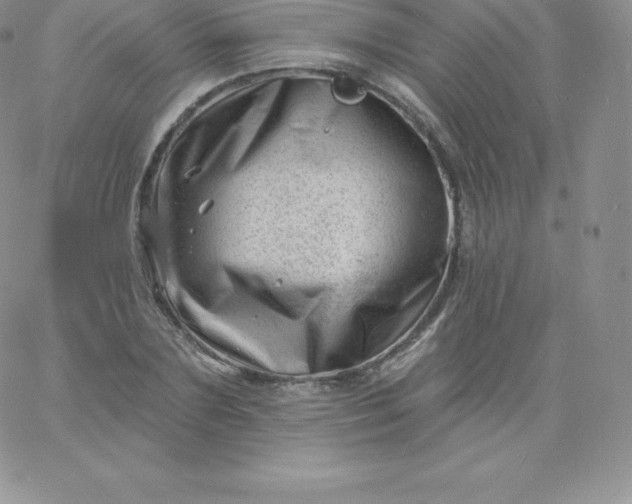 X0000060740883200511241635