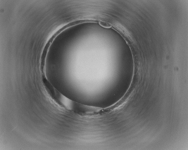 X0000060740884200511241635